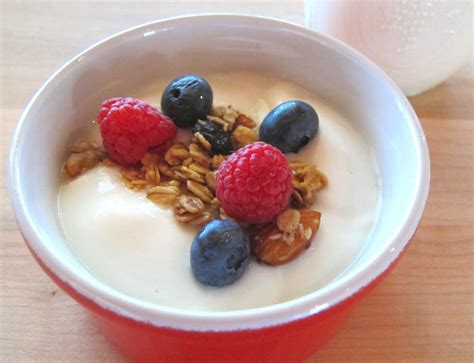 Lactose-Free Yogurt Recipe | Brod & Taylor