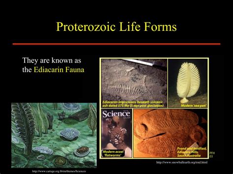 PPT - GY 112: Earth History PowerPoint Presentation, free download - ID ...