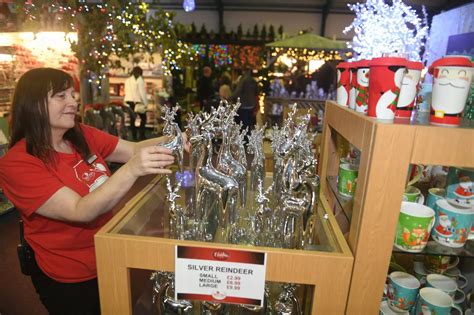 Christmas comes early at Hornsea Garden Centre - Hull Live