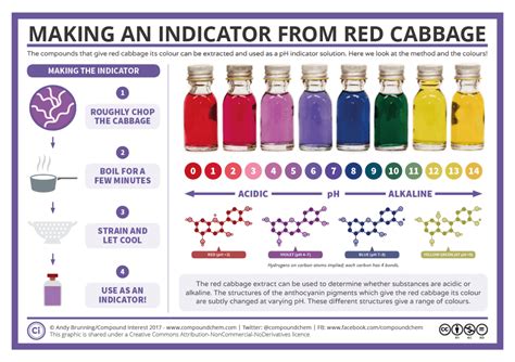 Red Cabbage pH Indicator – PANDEMIC PARENTING