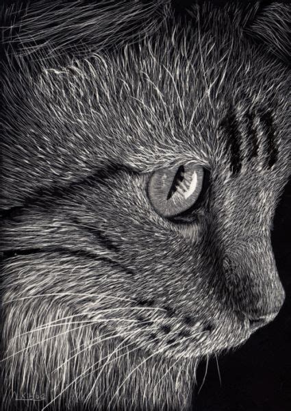 Cat Face - The Art Colony | Scratchboard art, Cat art, Scratchboard