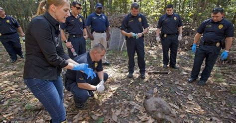 Hammond police officers, some a little squeamish, learn how to use insects to investigate murder ...