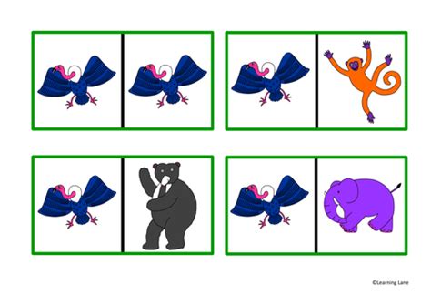 The Animal Boogie story resource pack- Jungle animals | Teaching Resources