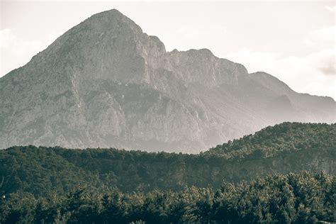 The Essential Guide to Choosing and Using Firewood for Your Camping Trip - Dad In Overland