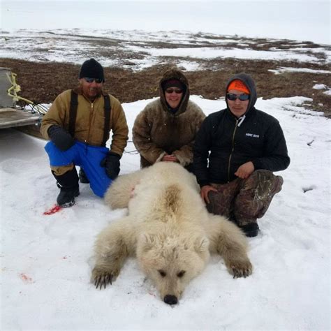 Very Rare Grizzly-Polar Bear Hybrid Harvested in Canada | OutdoorHub