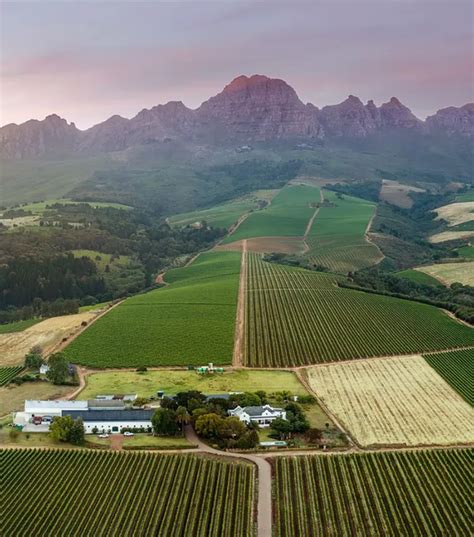 Alto Wine Estate Restaurant: Bistro Fare Near Stellenbosch