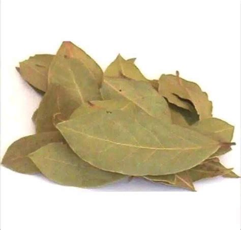 Daun Salam India |Bay leaf India |Daun Salam kering 5 grm | Lazada ...