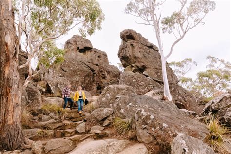 Are Dogs Allowed At Hanging Rock Reserve