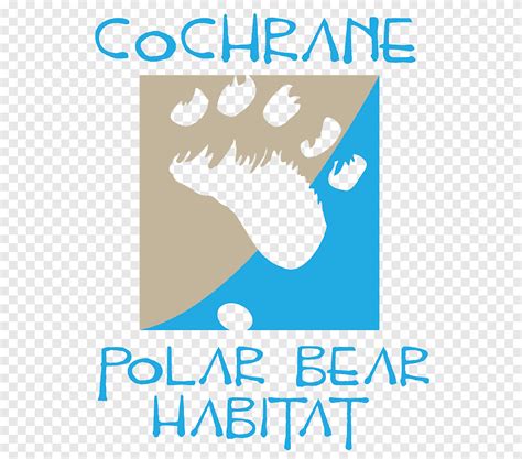 The Cochrane Polar Bear Habitat Species reintroduction, polar bear ...