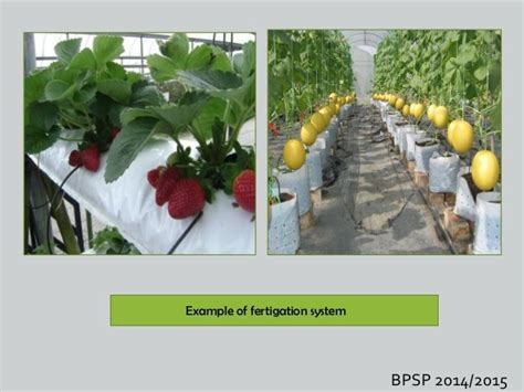 Fertigation system