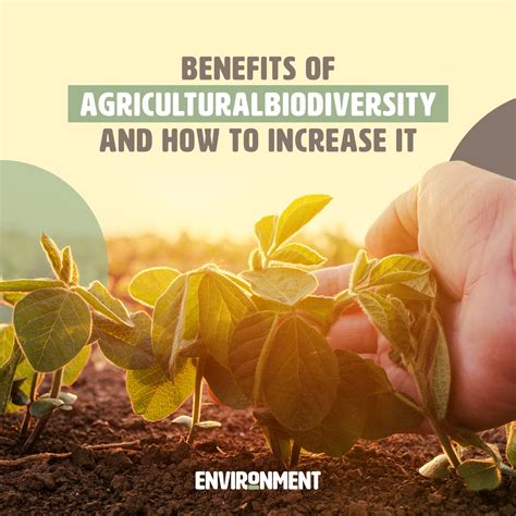 Benefits of Agricultural Biodiversity (And What You Can Do to Increase ...