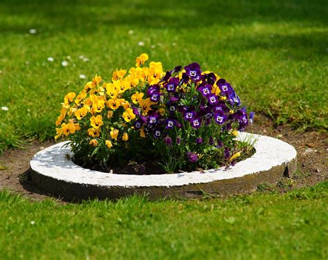 How To Start A Small Flower Bed