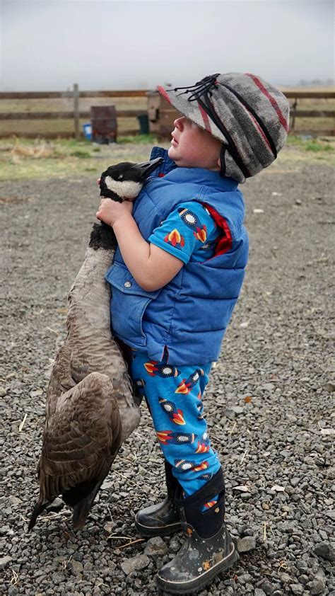 Field Goose Hunting Fundamentals