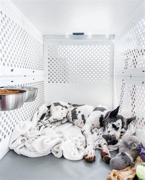 The Best Dog Crates For Great Danes