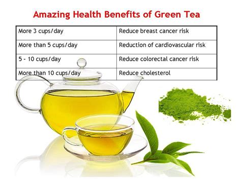 Health Benefits of Green Tea That you Must Know - Trends and Health