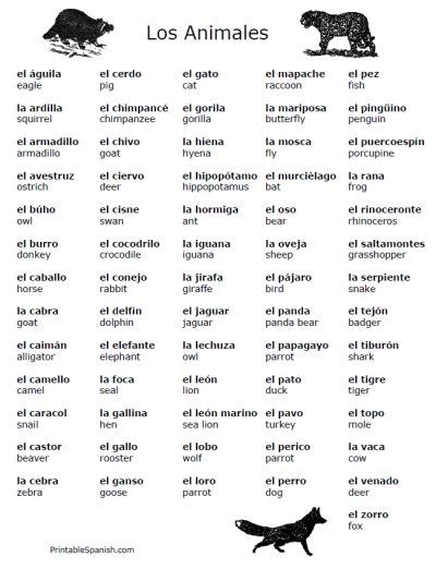 Spanish english vocabulary lists – Artofit