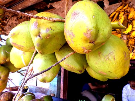 6 Reasons why we should drink tender coconut water everyday