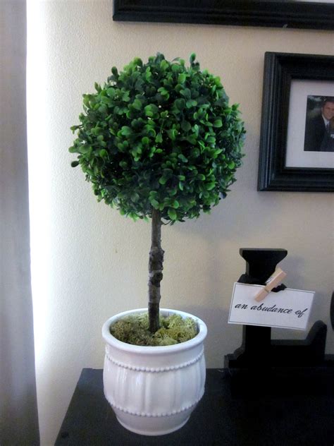 Embellishing Life: Boxwood Topiary