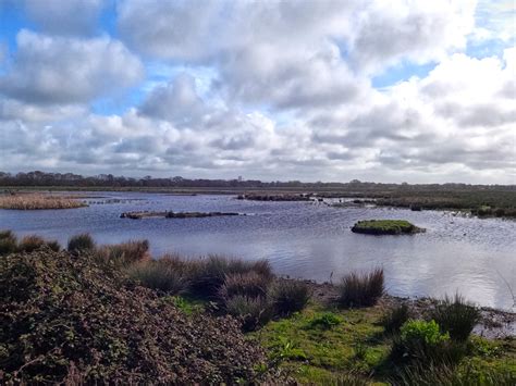 Somerset Wildlife Trust (@SomersetWT) / Twitter