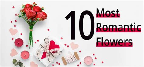 10 Most Romantic Flowers For The Woman You Love