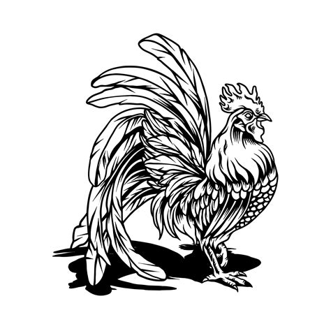 Beautiful Rooster Silhouette 3815436 Vector Art at Vecteezy