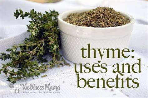 Uses & Benefits of Thyme Herb | Rezept | The help