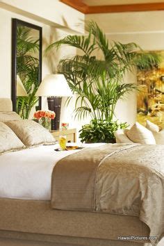 260 Best Tropical bedrooms ideas in 2022 | tropical bedrooms, bedroom decor, bedroom design