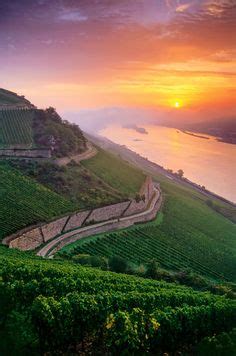 100 Rhine Gorge - Rudesheim, Germany ideas | germany, germany travel, rhine river