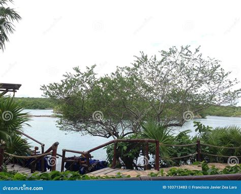 Xel-Ha, Lake view stock image. Image of tourism, mangroves - 103713483