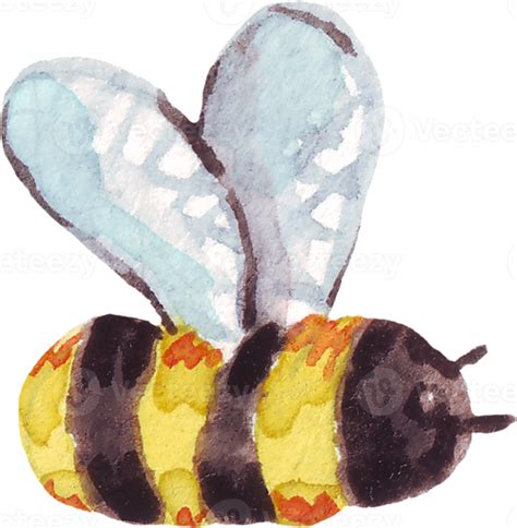 Watercolor bee. Hand-painted clipart 22157017 PNG