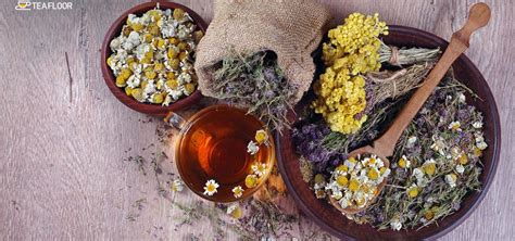 9 Splendid lavender chamomile tea benefits for your overall health