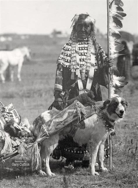 DOG TRAVOIS in 2023 | Native american history, Native american artwork ...