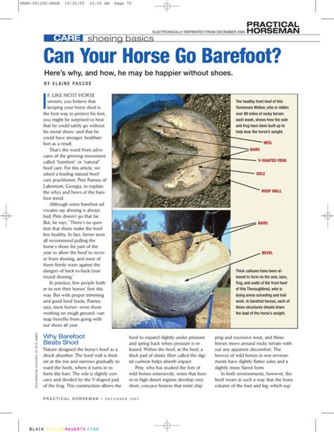 Can Your Horse Go Barefoot?