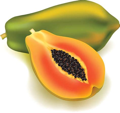 Delicious and Nutritious Papaya Fruit