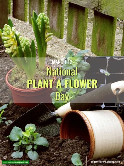 BANNERS: National PLANT A FLOWER Day | March 12 (#NationalPlantAFlowerDay) | Social media ...