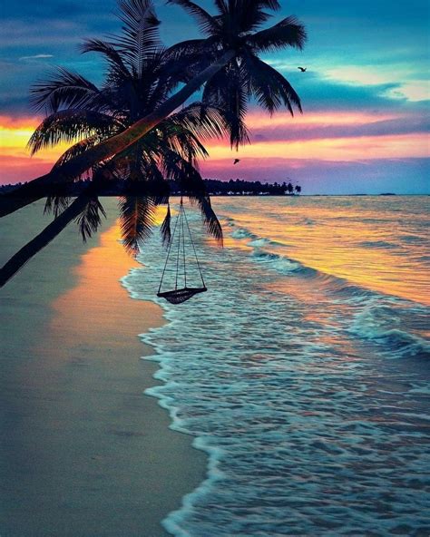 🌴 Tropical paradise🌴 | Sunset photography, Beautiful beaches, Beach ...