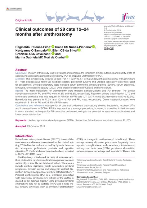 perineal urethrostomy cat procedure - Branda Gaskin