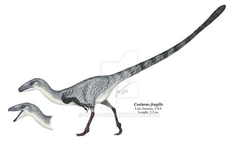 Coelurus fragilis by Kana-hebi | Prehistoric animals, Prehistoric ...