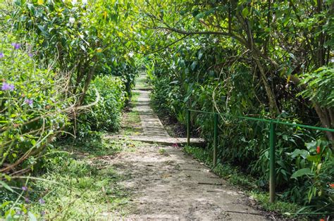 Asa Wright Nature Centre & Bird Sanctuary Trinidad & Tobago