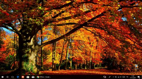 Download Autumn Colors, Tema per Windows 10 | HTNovo