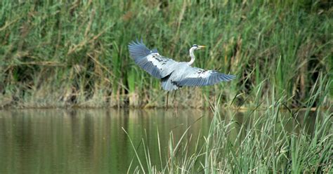 Yamuna Biodiversity Park | Sahapedia