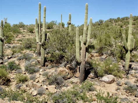 Pillion Papers: Ride to Bagdad - Arizona