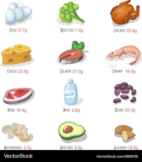 Protein food icons collection for healthy diet Vector Image