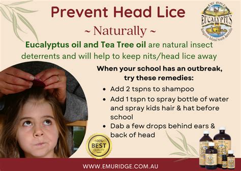 Emu Ridge 100% Essential Oils - Eucalyptus and Tea Tree for treatment of head lice