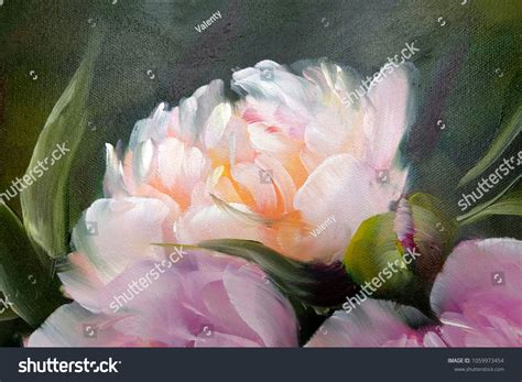 Romantic Pink Peonies Oil Painting On Stock Illustration 1059973454 ...