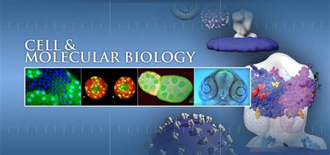 Molecular Cell