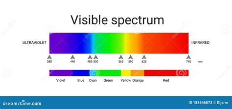 Visible Spectrum Light. Infographic of Sunlight Wavelength Stock Illustration - Illustration of ...