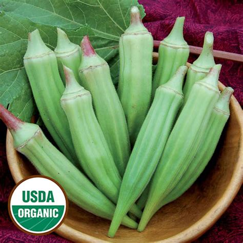 Clemson Spineless Okra - Organic - Seed Savers Exchange