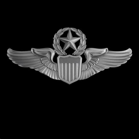 USAAF Command Pilot Wings Badge 3D model | CGTrader