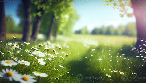 Nature Background Stock Photos, Images and Backgrounds for Free Download